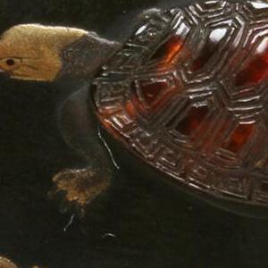 Thumbnail for Manju with two tortoises
